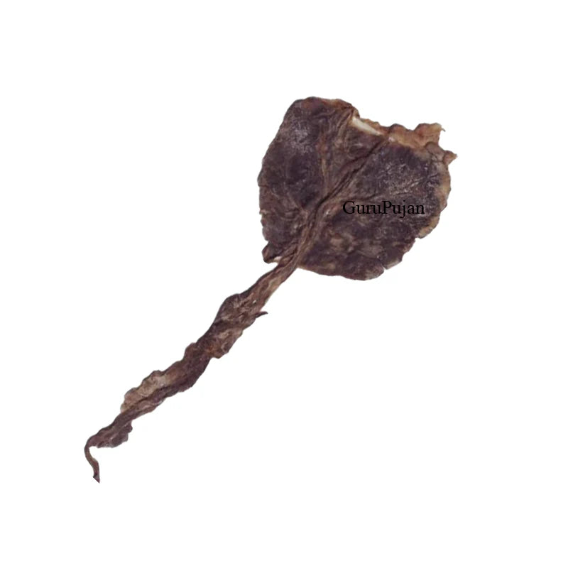 Sadharan Cat Jer – Wealth & Nazar Protection