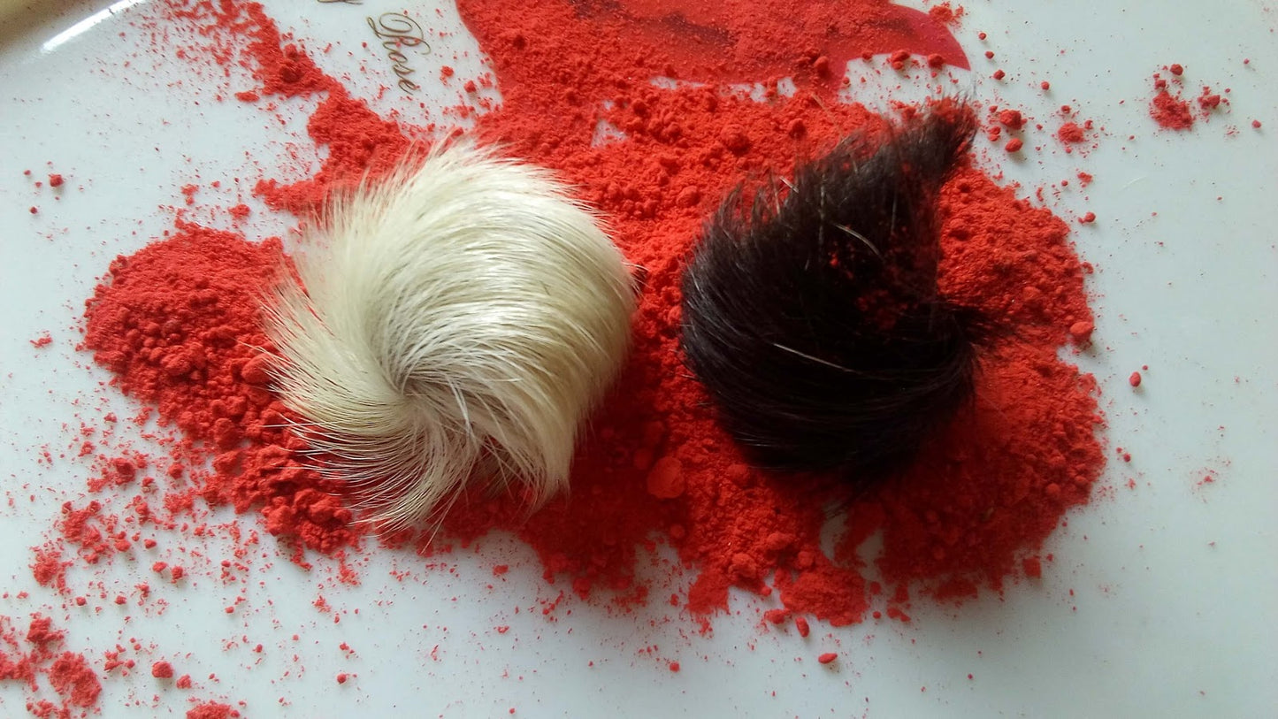 Siyar Singhi Energised Male & Female Pair