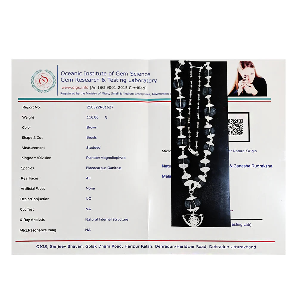 1–14 Mukhi Rudraksha Siddha Mala – Nepal Origin | With Ganesh Mukhi & Gaurishankar
