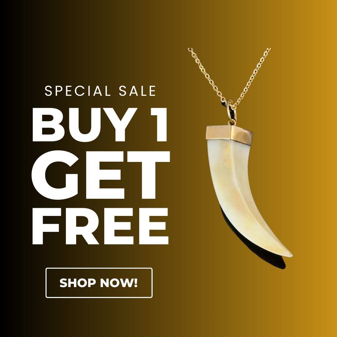 Buy 1 Get 1 Free (Only Prepaid Order)