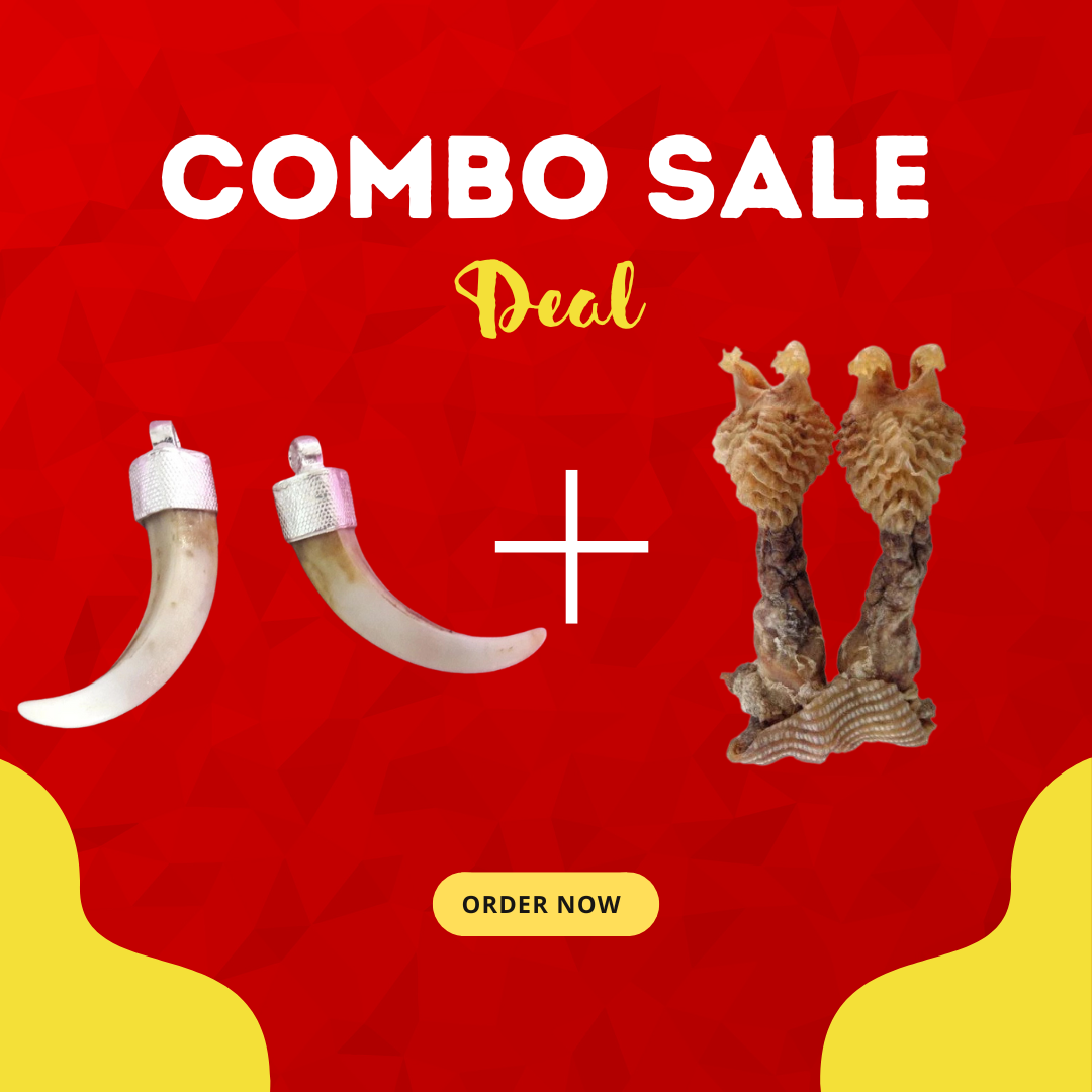 🕉️ 2 Pairs Shukar Dant & Hatha Jodi Combo (Only Prepaid Order)