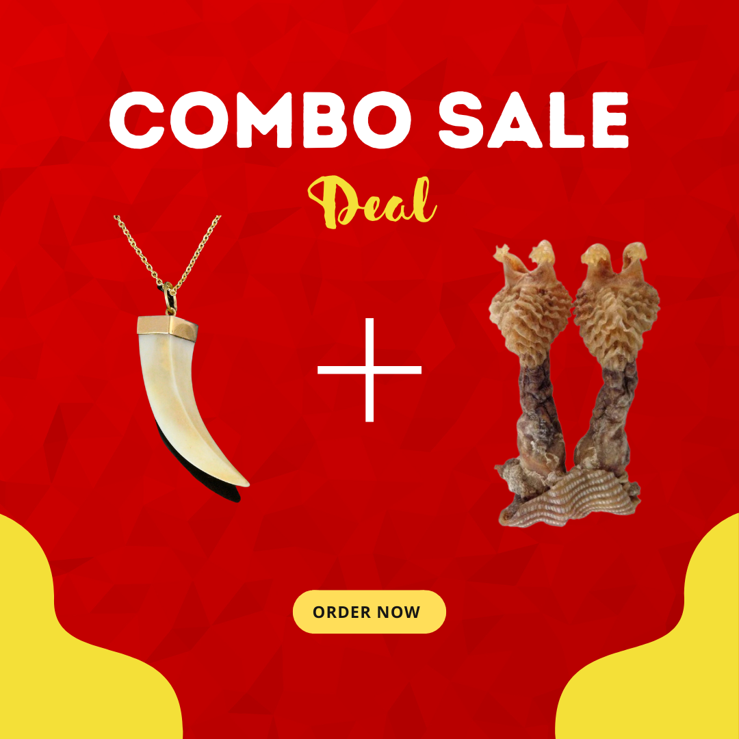 🕉️ Shukar Dant & Hatha Jodi Combo (Only Prepaid Order)