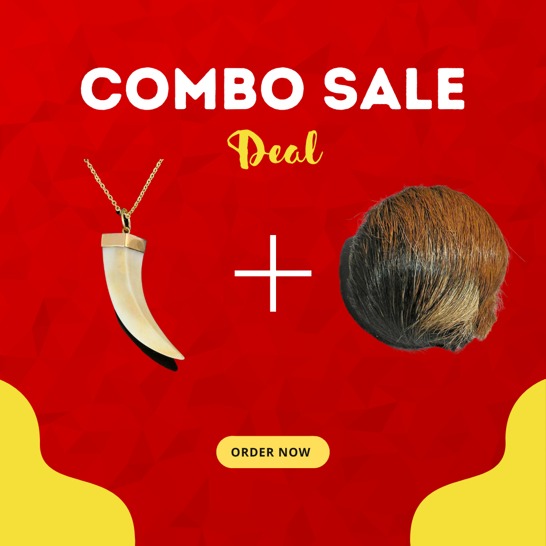 🕉️ Shukar Dant & Siyar Singhi Combo (Only Prepaid Order)