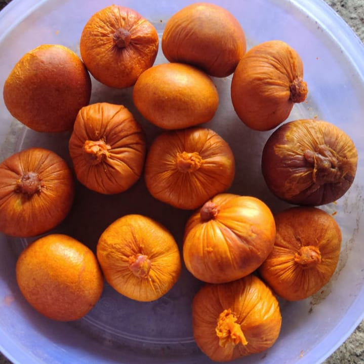 Amarkasturi –for Divine Power & Prosperity