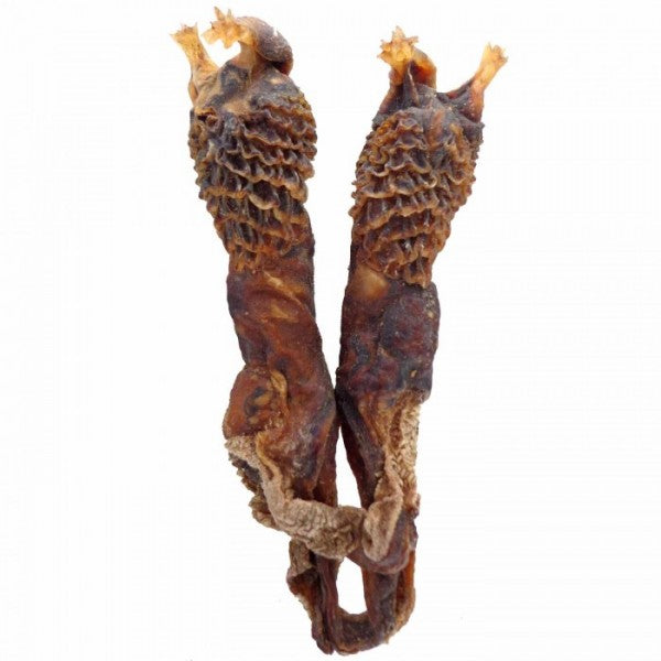 Original Hatha Jodi (Rare) – Used in Tantra & Vedic Rituals