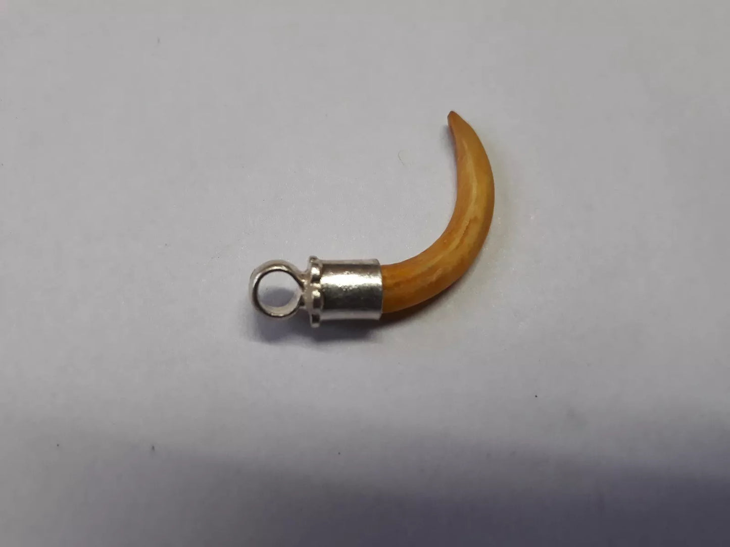 World Most Rare Original Owl Nails ulu Ke Nakhun In Silver Luck Money Profit