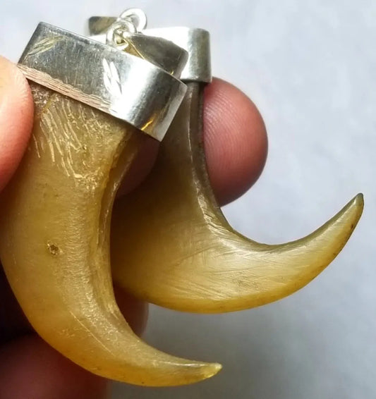 🦁 Natural Lion Claw Pair Pendants – Symbol of Power &amp; Protection