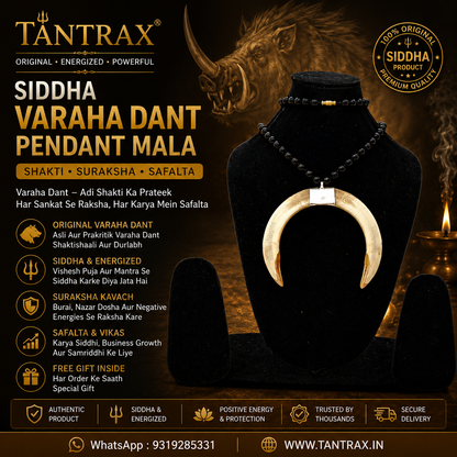 Shukar Dant – Premium Spiritual Collection | TANTRAX