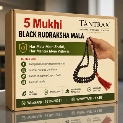 Natural Black Rudraksha Mala 108+1 Beads 8mm with Lab Certificate – Tantrax
