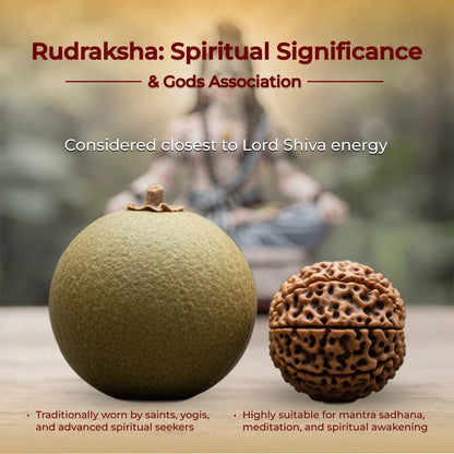 1–14 Mukhi Rudraksha Siddha Mala – Nepal Origin | With Ganesh Mukhi & Gaurishankar