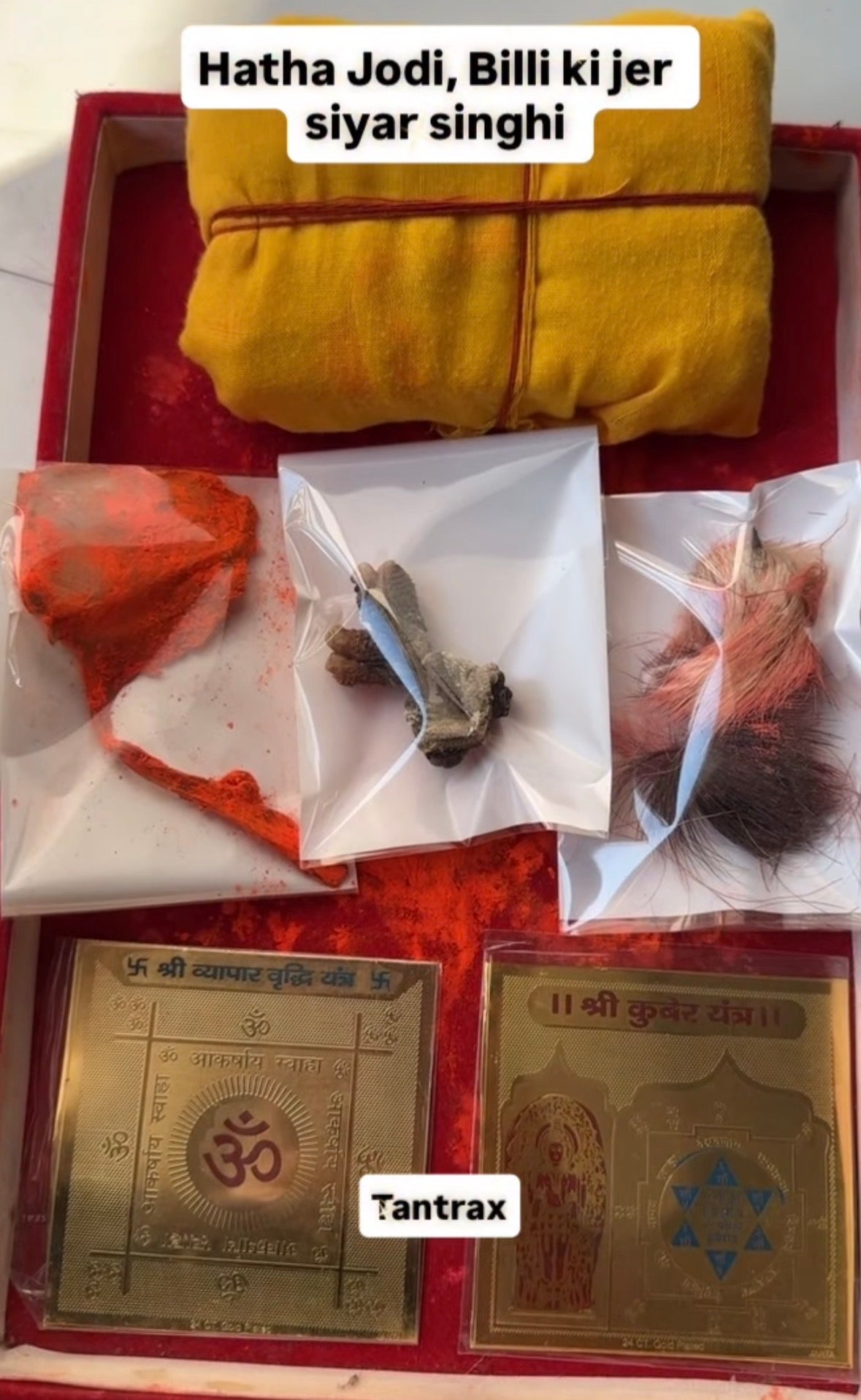 Hatha Jodi • Billi Ki Jer • Siyar Singhi Combo with Energised Yantra (Wealth & Business Ritual Set)