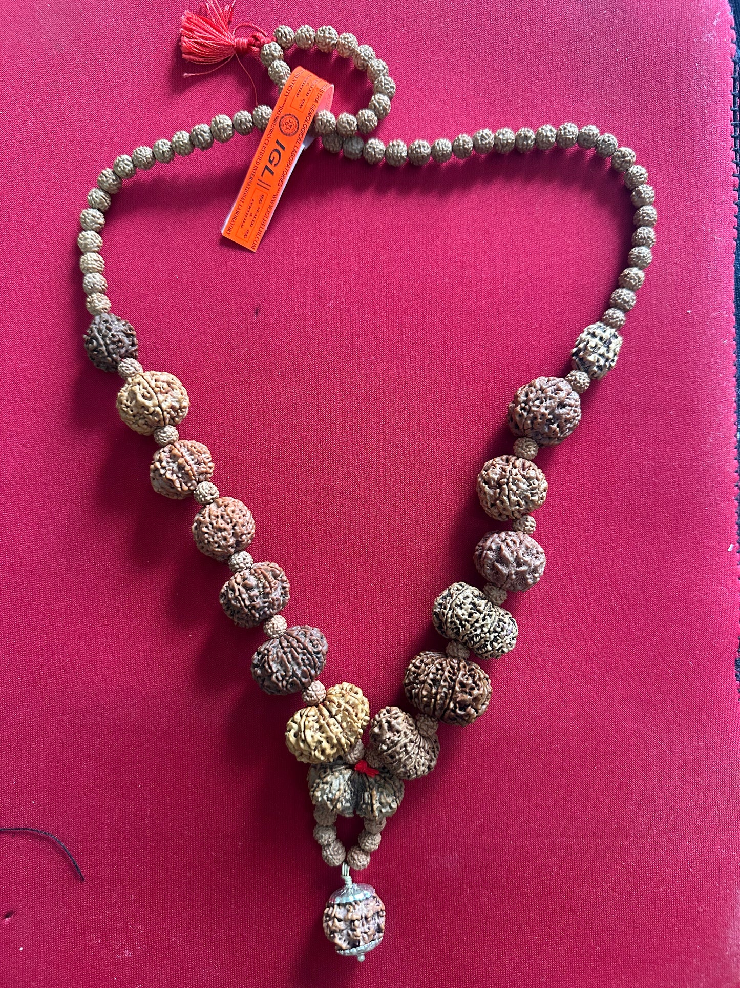 1–14 Mukhi Nepali Rudraksha Mala | Original Certified Rudraksha | TANTRAX