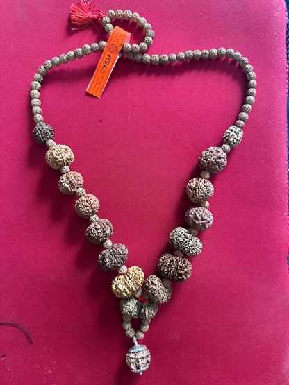 1–14 Mukhi Nepali Rudraksha Mala | Original Certified Rudraksha | TANTRAX