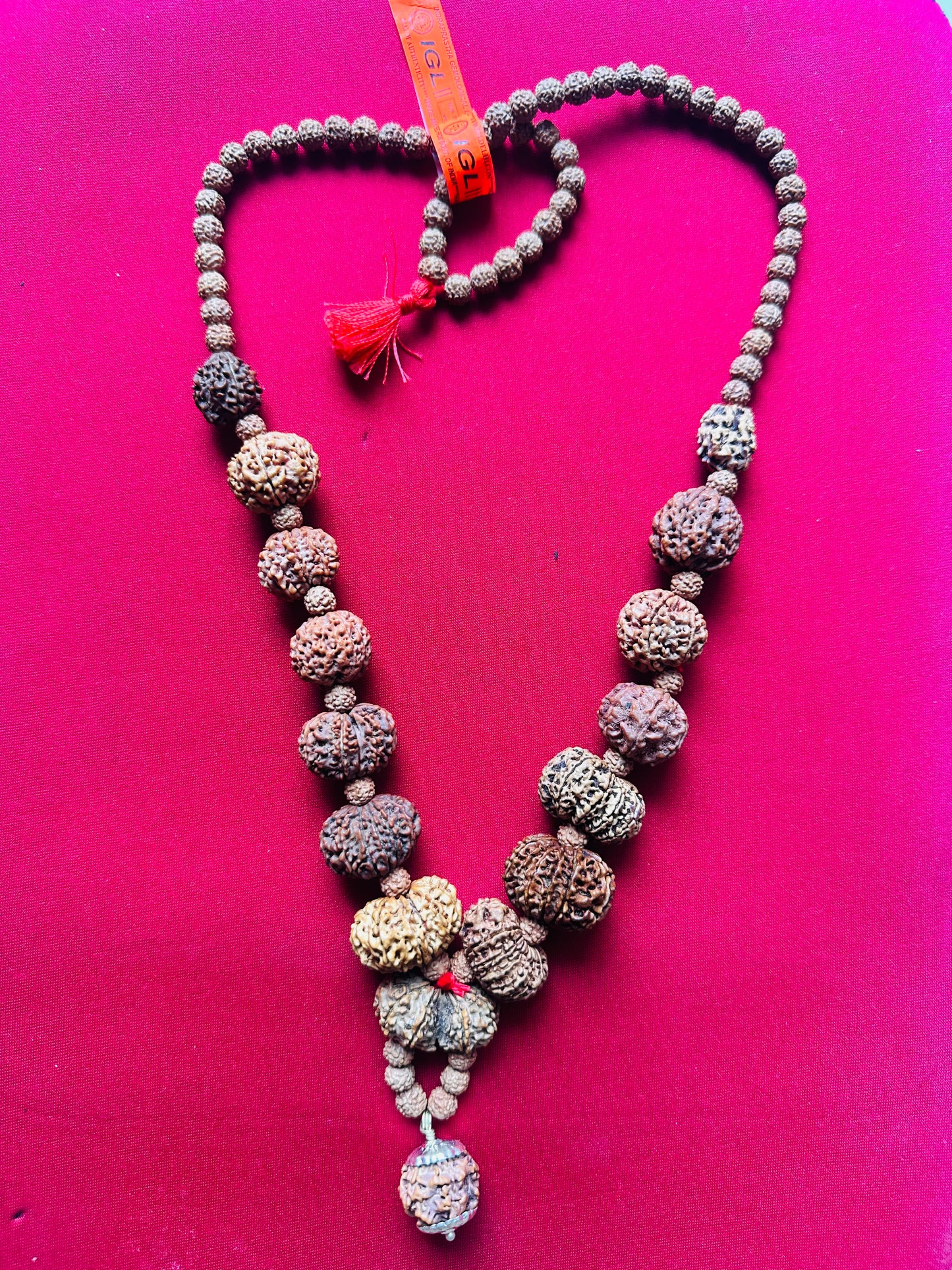 1–14 Mukhi Nepali Rudraksha Mala | Original Certified Rudraksha | TANTRAX