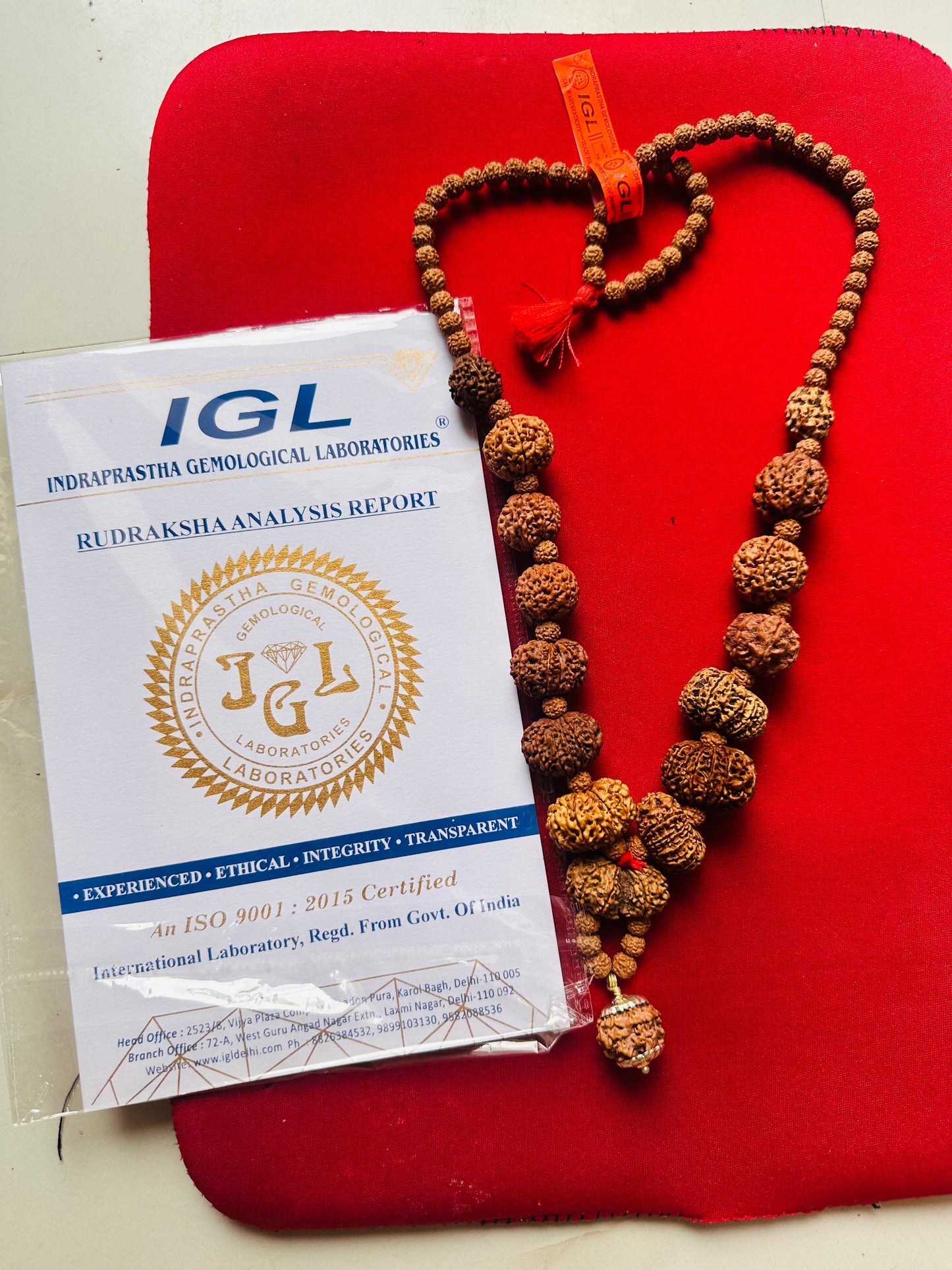 1–14 Mukhi Nepali Rudraksha Mala | Original Certified Rudraksha | TANTRAX