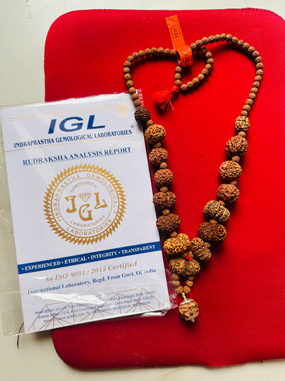 1–14 Mukhi Nepali Rudraksha Mala | Original Certified Rudraksha | TANTRAX