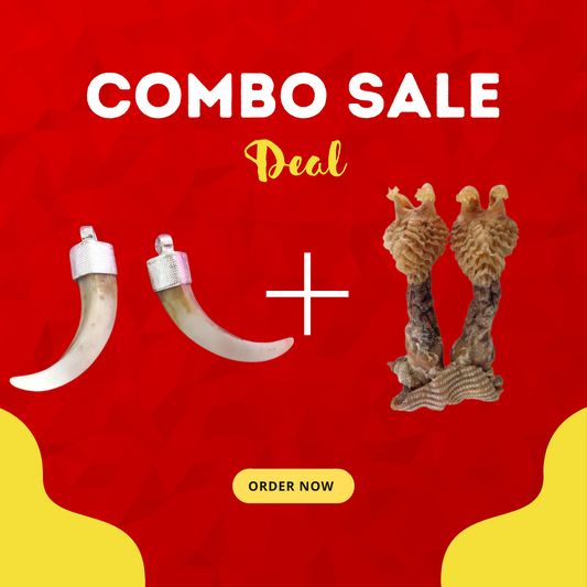 🕉️ 2 Pairs Shukar Dant & Hatha Jodi Combo (Only Prepaid Order)