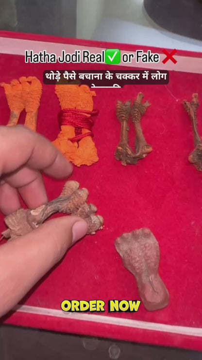 Original Hatha Jodi (Rare) – Used in Tantra & Vedic Rituals