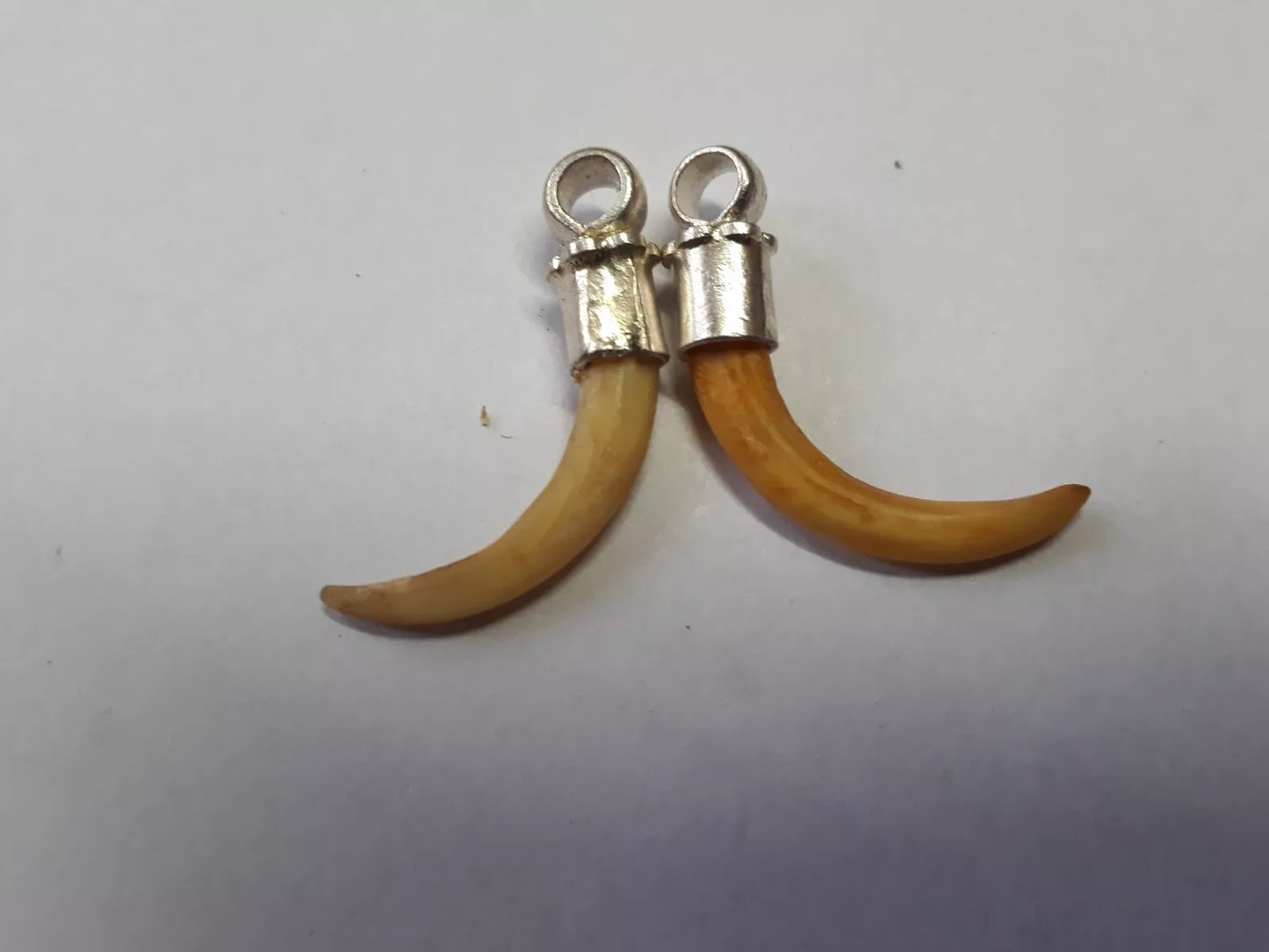 World Most Rare Original Owl Nails ulu Ke Nakhun In Silver Luck Money Profit
