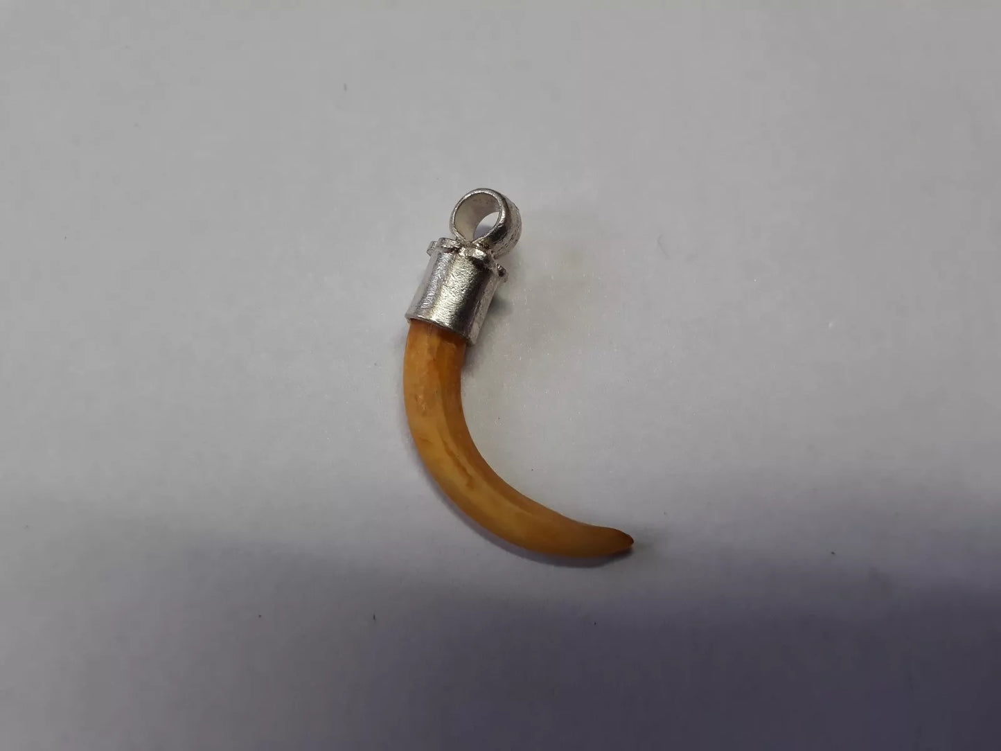 World Most Rare Original Owl Nails ulu Ke Nakhun In Silver Luck Money Profit